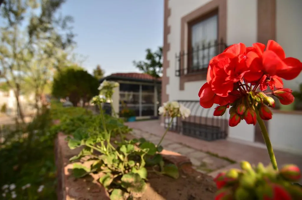 Cunda Nesos Pansiyon Hotel Ayvalik Guest house